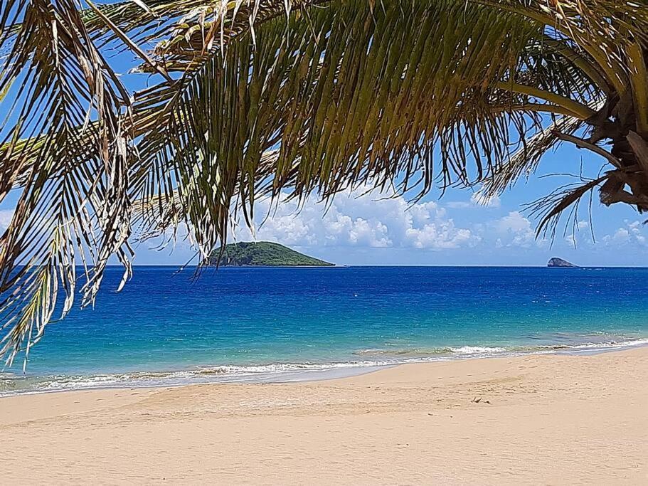 Caraibes Cottage Grenat Piscine Privee 900M De Grande Anse Деше Экстерьер фото