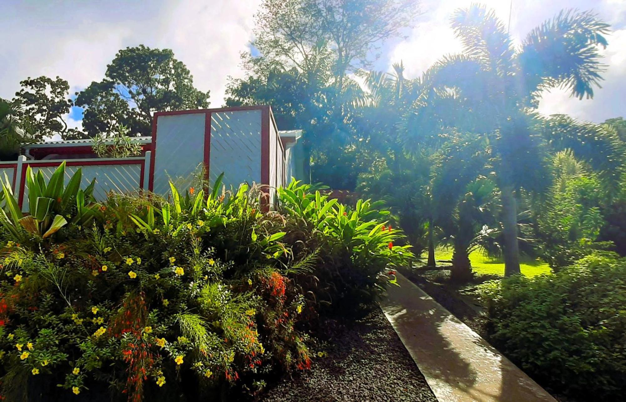 Caraibes Cottage Grenat Piscine Privee 900M De Grande Anse Деше Экстерьер фото