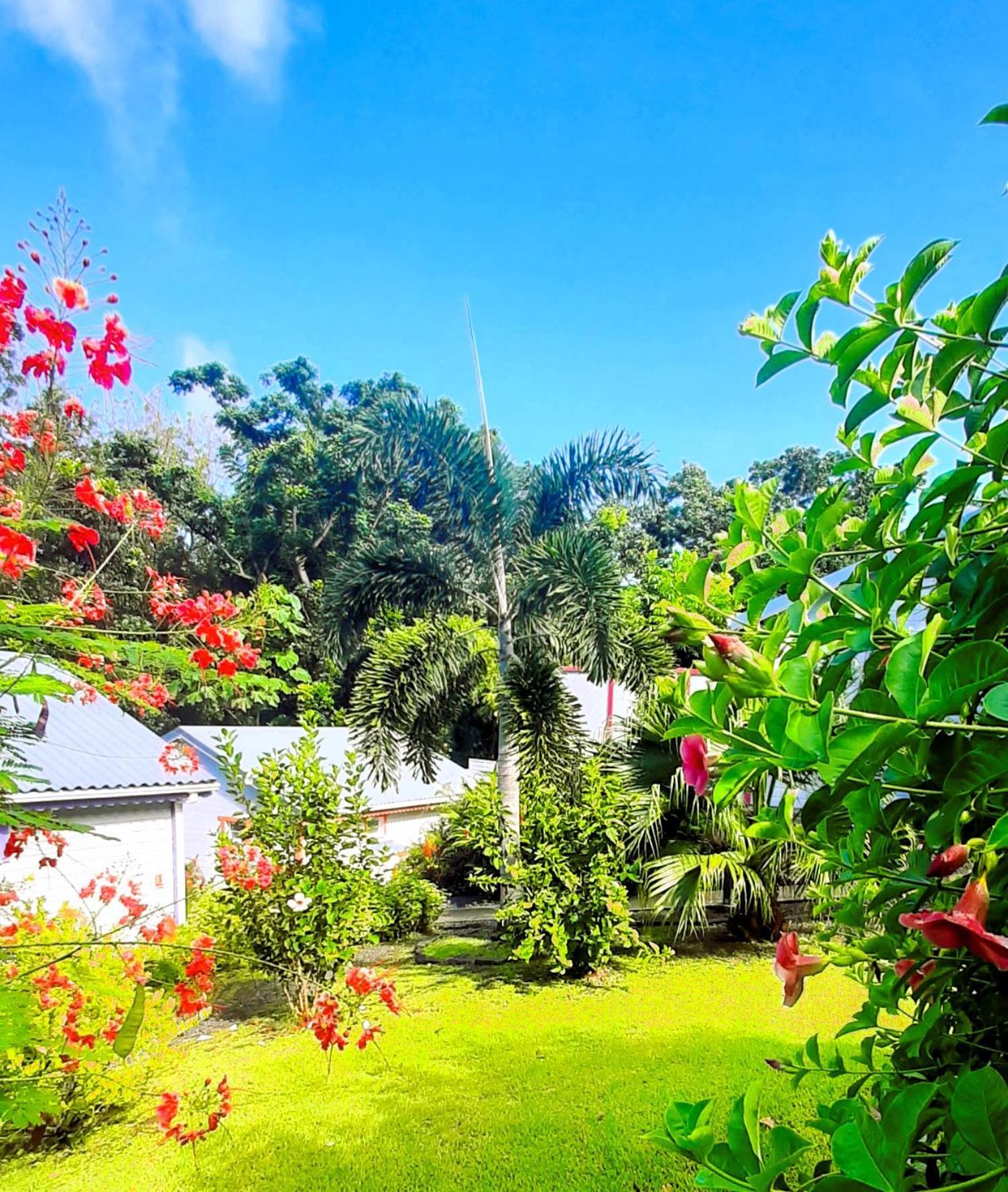 Caraibes Cottage Grenat Piscine Privee 900M De Grande Anse Деше Экстерьер фото